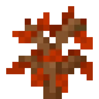 Maple Trees And Biome