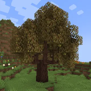 Dynamic Trees - Ecologics