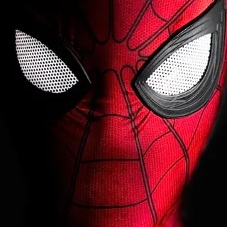 Gobo's Spider Man Stuff
