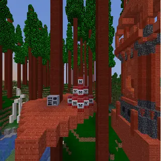 redwood and fossils1.21