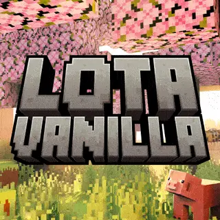 Lota QoL Essentials