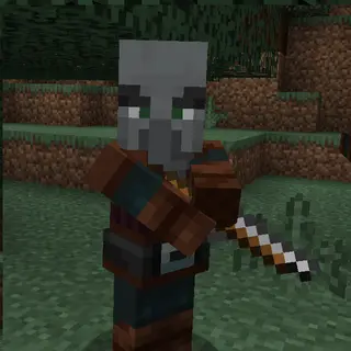 Musketeer Illager