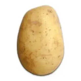 The Random Potato