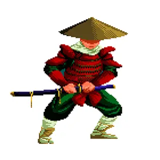 Samurai Life