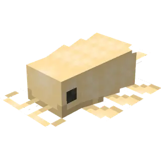 Turtl's Isopods