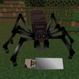 ConRad's Scary Spiders