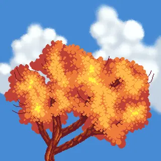 CSMP Horizons