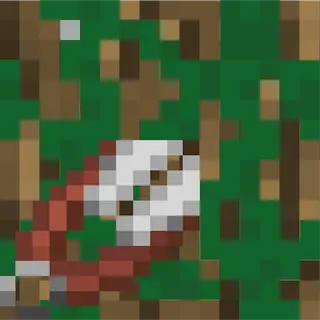 Vine Clipper