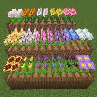 Flower Seeds 2 - Fabulous Flowers
