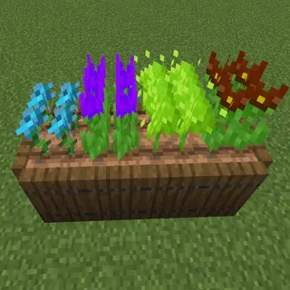 Flower Seeds 2 - Cyclic