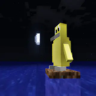 Ducks Pixelmon