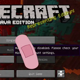 EnableMultiplayerMode