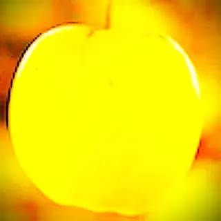 FDS (Fps, Decoration, Shooter)