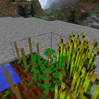 CropChance