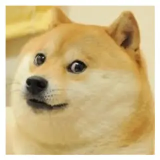 DogeSMP