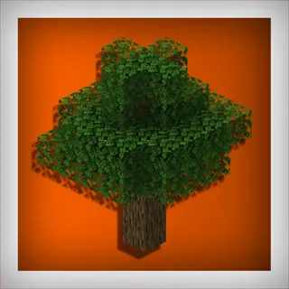 Wood Expansion