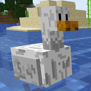 What the duck!