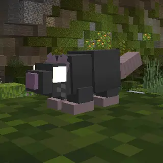 Scuffys Rats