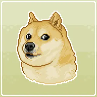 Doge's Create