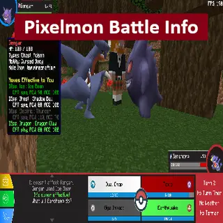 PM Battle Info
