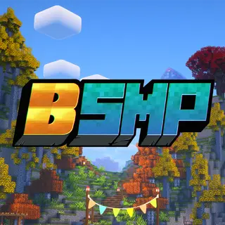 BSMP - BERNI SMP