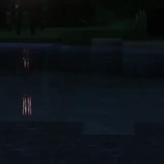 They Lurk
