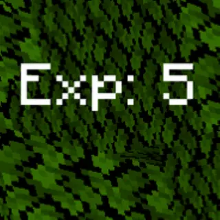 Creative Experience