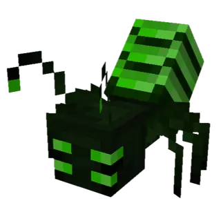 Mokels Midnight Bugs