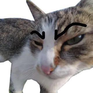 Goofy ahh cats of undying