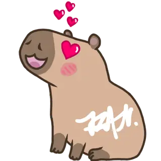 Capybaras