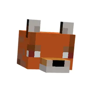 Don't hit fox