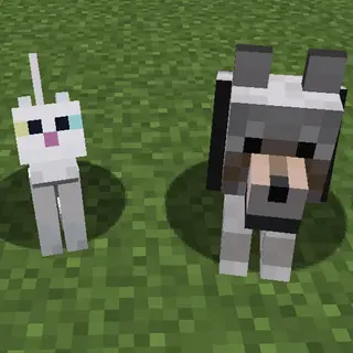 Pet ownership