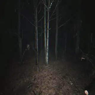 The Creature