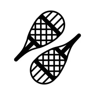 Snowshoes