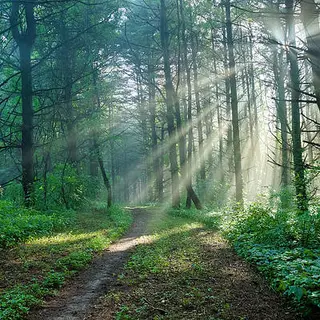 from the fog horror pack
