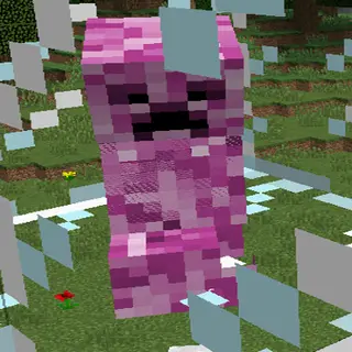 Female Creeper