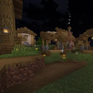 VillageRevival