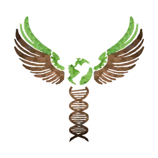 Phoenix International Hub