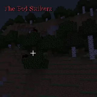 The Bed Stalker