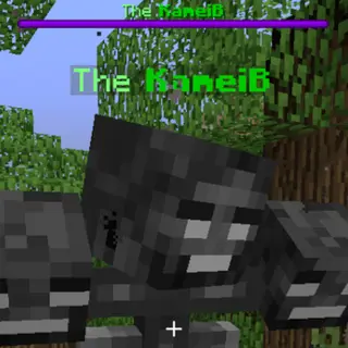[DISCONTINUED] Localized Entity Name
