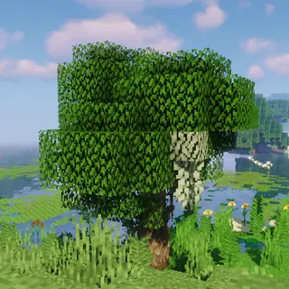 Dynamic Trees for Bayou Blues