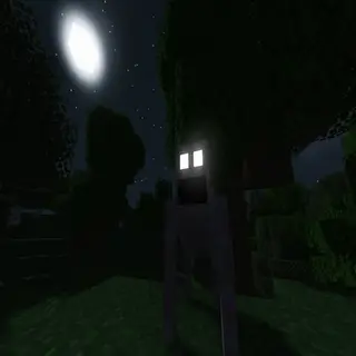 The Rake Experience