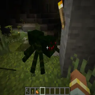 Mo' Spiders Variants