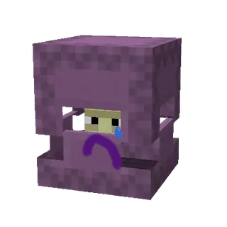 No Ender Shulks