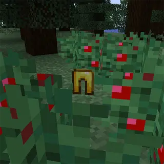 Thorny Bush Protection