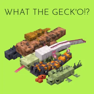 WHAT THE GECKO
