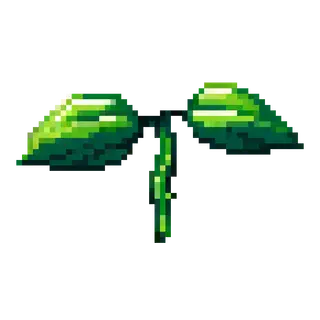 Sprout and Settle