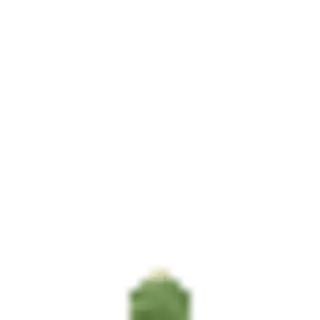 CactusForaging