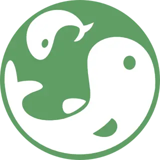 Koi Craft