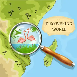 ZooMer adventure